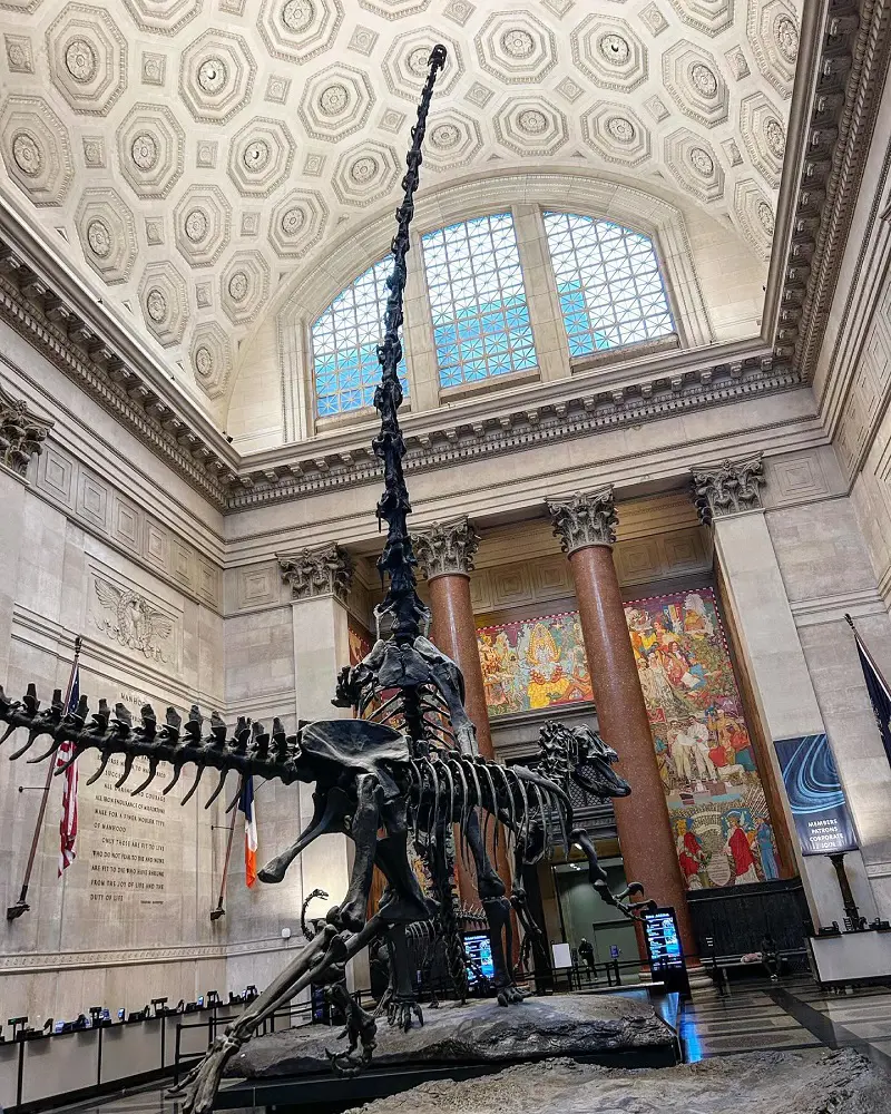 Exhibits at the American Museum of Natural History