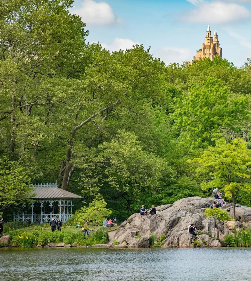 Collage of beautiful attractions at the Central Park