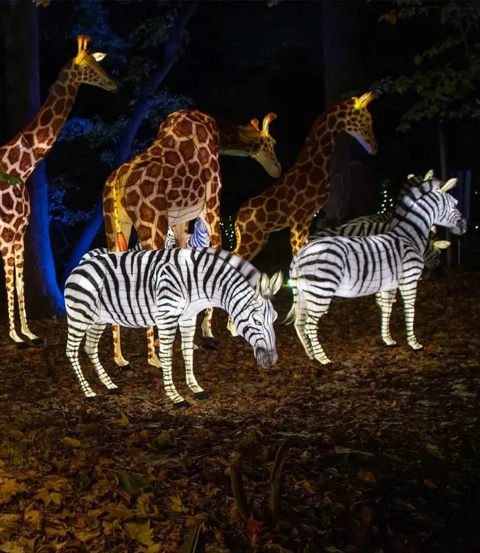 Lights display at Bronx Zoo's Winter Wonderland.