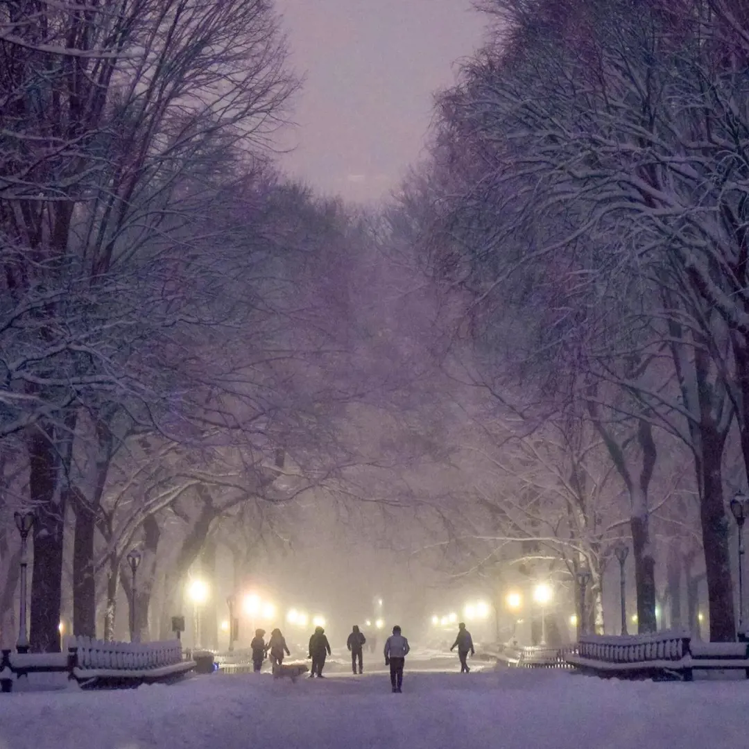 Central Park During Winter