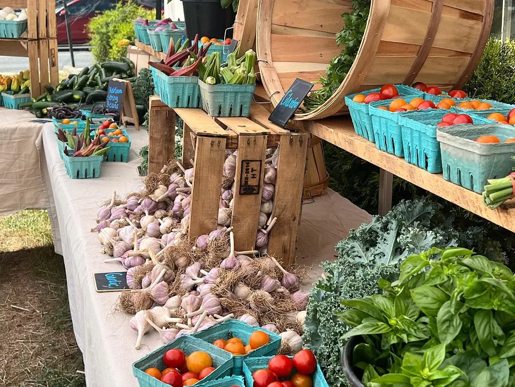 Stall of fresh veggies at New Paltz Open Air Market.