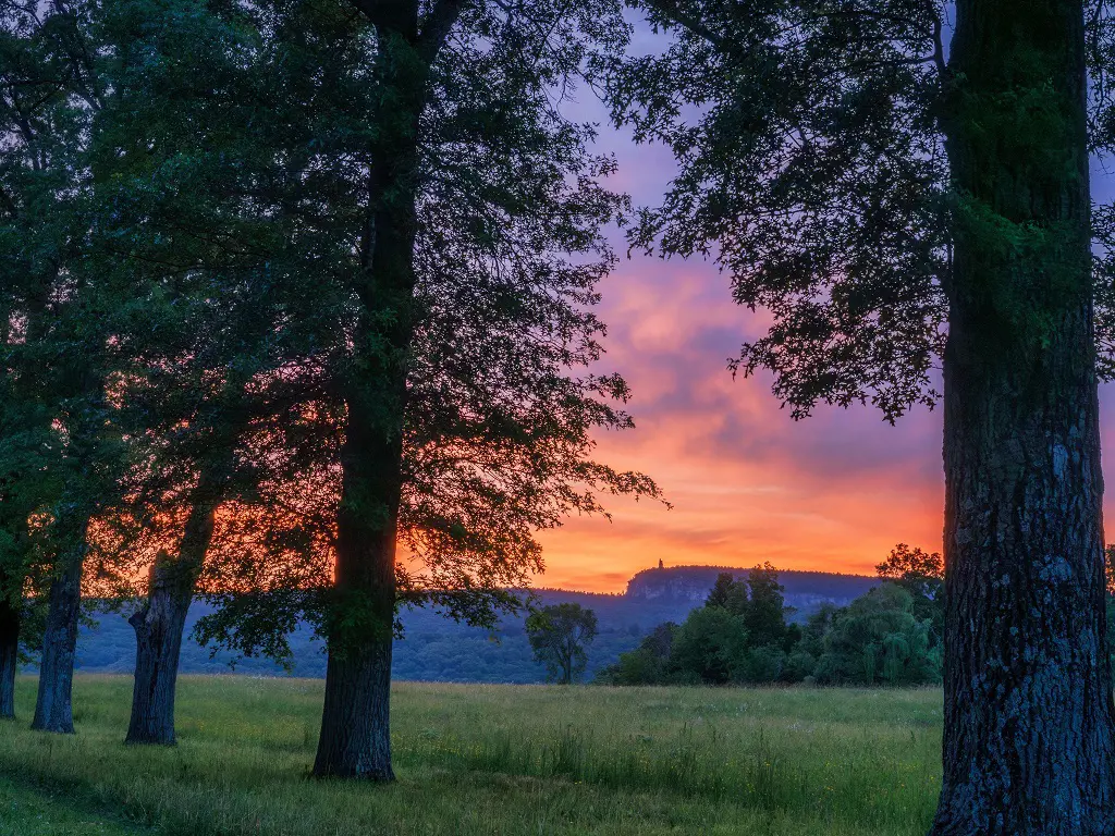 An amazing sunset view captured from Pin Oak Allee, Mohonk Preserve. Picture credit to Winnie Abramson