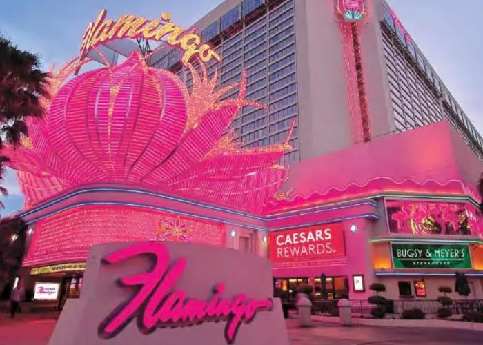 Flamingo Las Vegas Hotel & Casino is kid and pet friendly resort with an indoor pool