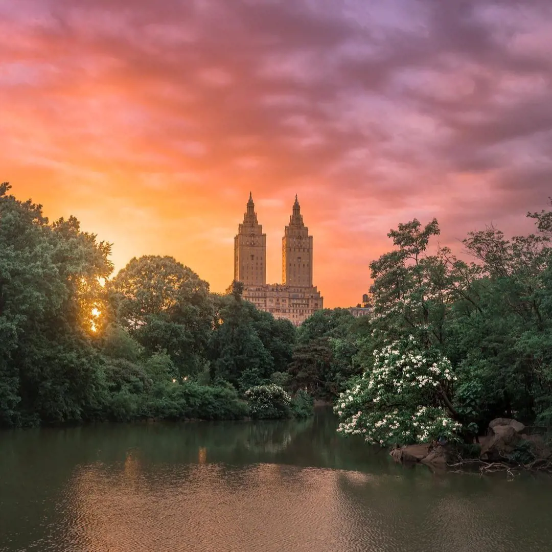 Sunset view captured from Central Park (photo by @brittanyeliza.photo)