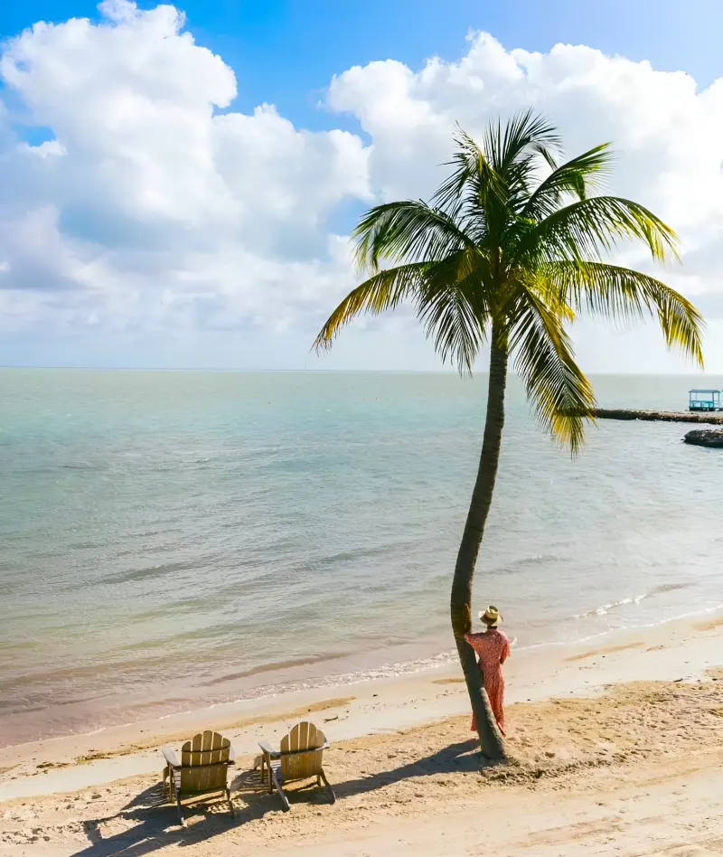 20 Amazing Things To Do In Islamorada Florida