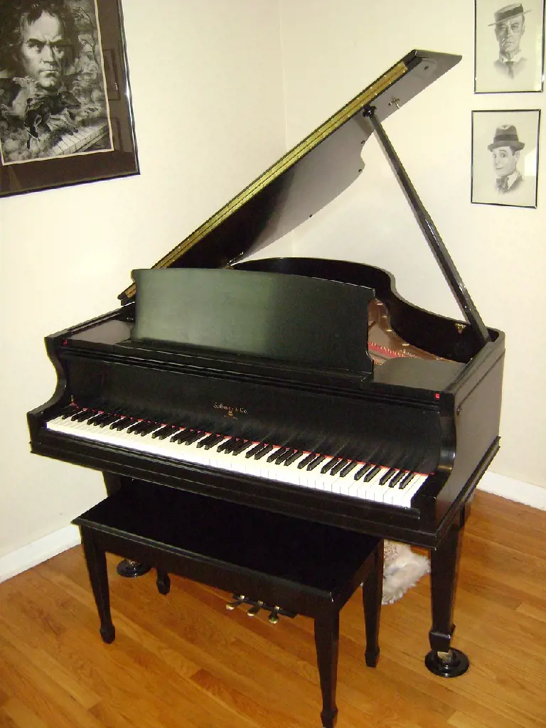 A grand black piano