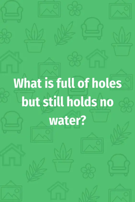 A cool riddle asking about the things that holds water despite having holes.
