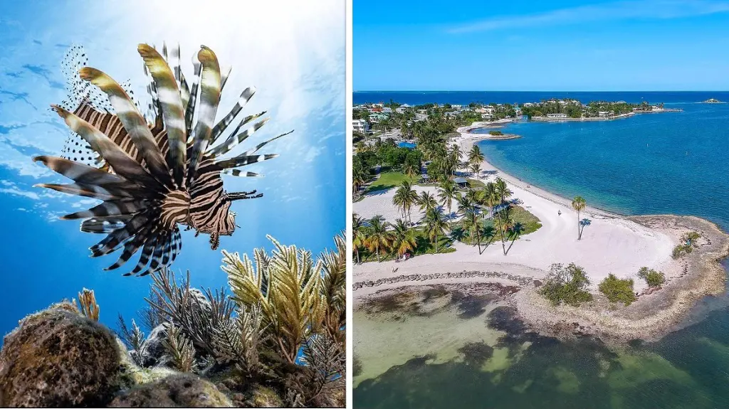 Florida Keys marine ecosystem on the left (Photo By: @jferraragallery) Sombrero Beach on the right (Photo By: Ursula Dubrick)