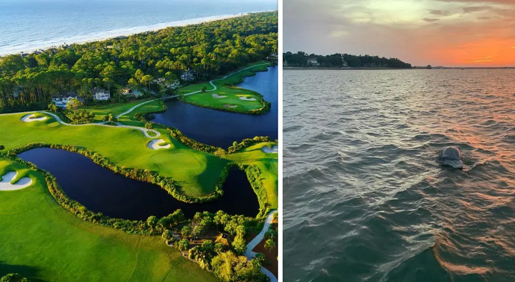 Palmetto Dunes Oceanfront Resort has incredible golf courses (Left). Dolphin dipping into golden hour (Right) (Photo By: Haley Sims)