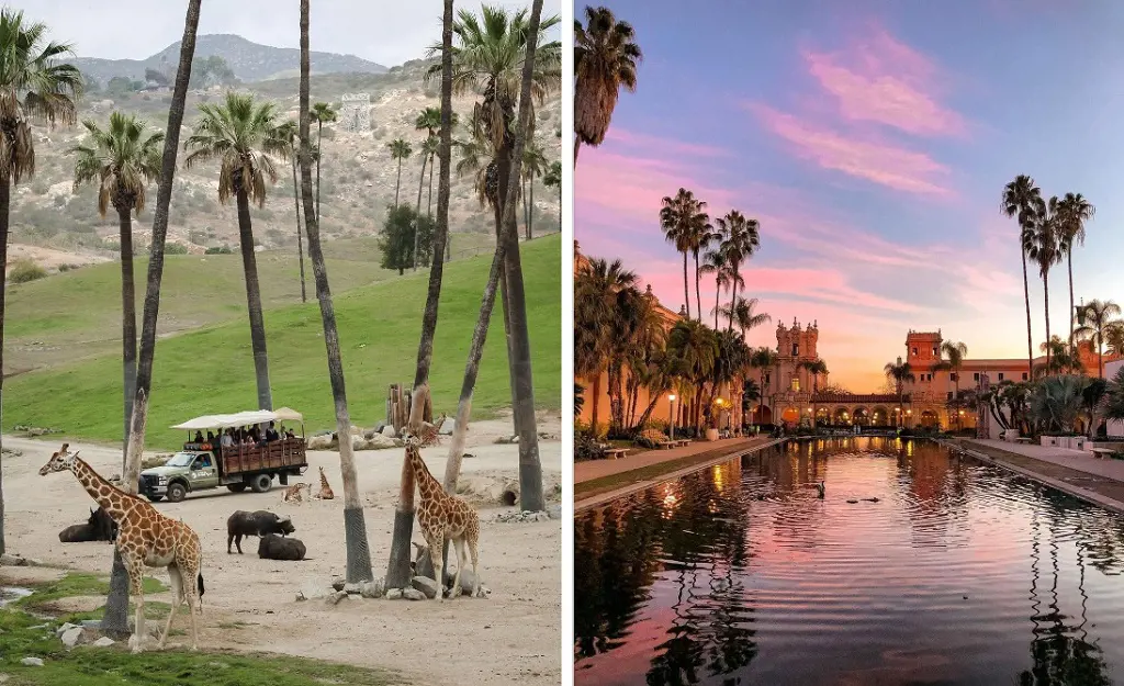San Diego Zoo Safari Park on the left (Photo By: @thelindsayryan). Balboa Park Lily Pond on the right (Photo By: Mariano Diaz)
