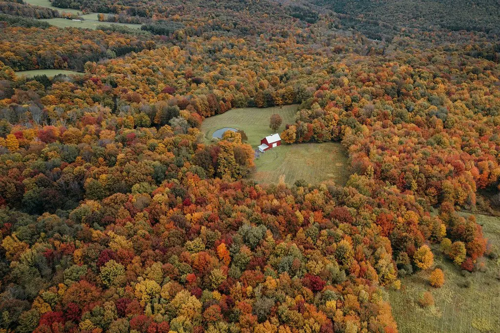 View of Catskill Mountains in the fall (photo by Clay Banks)