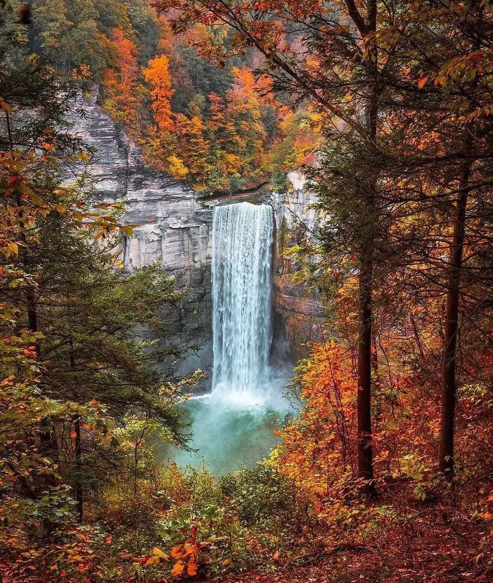 Taughannock Falls State Park during the fall of 2021 (photo by @kryptonist)