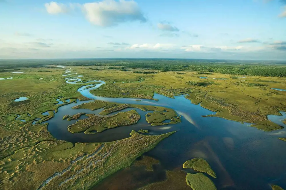 Everglades tropical wetlands in Florida