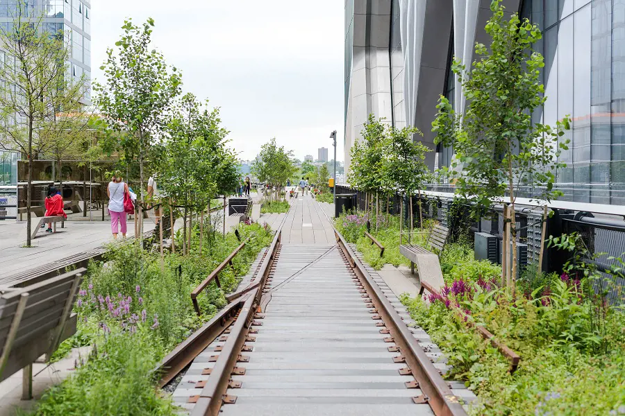 The color of summer at The High Line. (Photo By: Elizabeth Villalta)