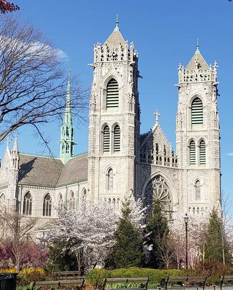 Marvelous view of Cathedral Basilica of the Sacred Heart. 