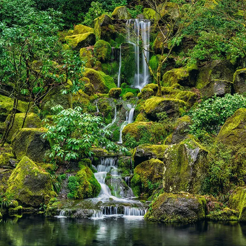 Peter Lik captured the mesmerizing picture of Jade Garden  