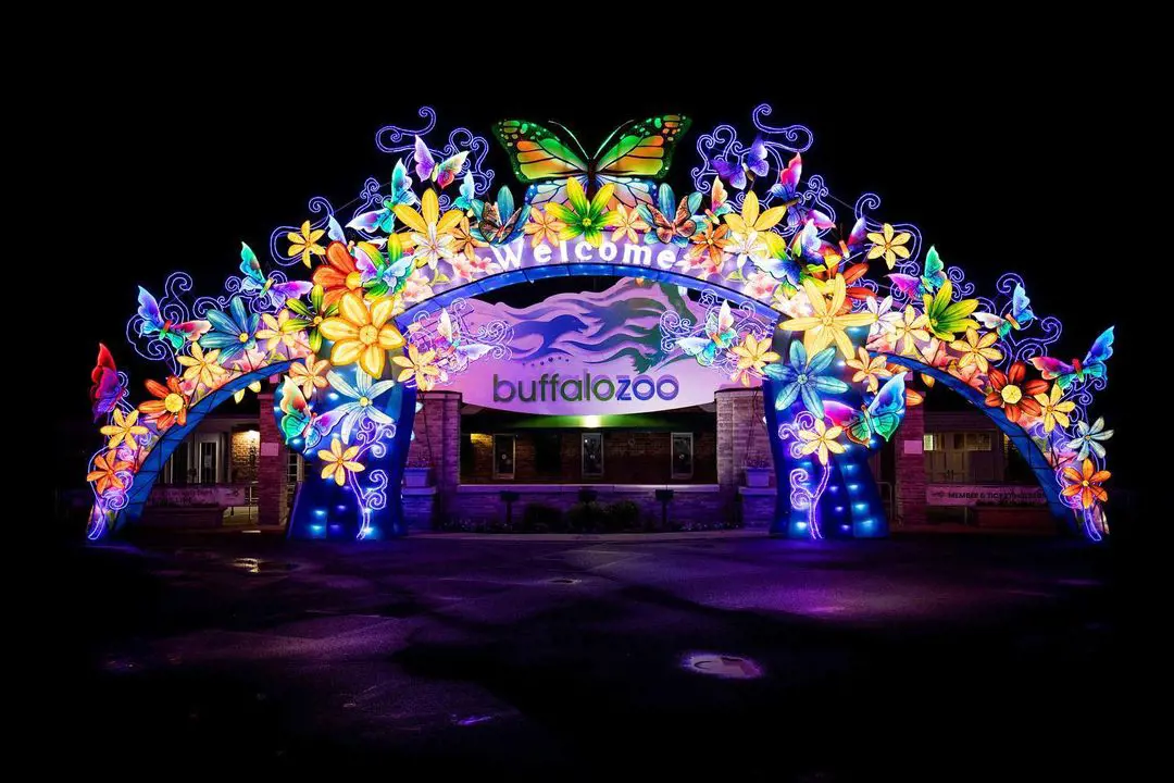 Zoomagination: The Festival of Lanterns and Lights presented by Five Star Bank on June 14, 2023