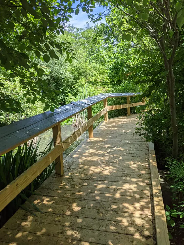Stroll around Forsyth Nature Center with your kids
