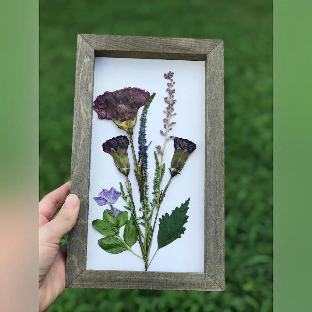 Learn to make pressed flower frame for your home décor. This one id from @breathofnature_chelsea