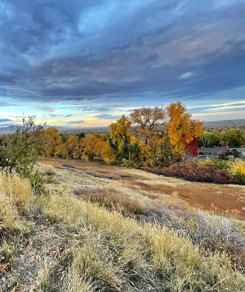 20 Exciting Things To Do In Lakewood, Colorado