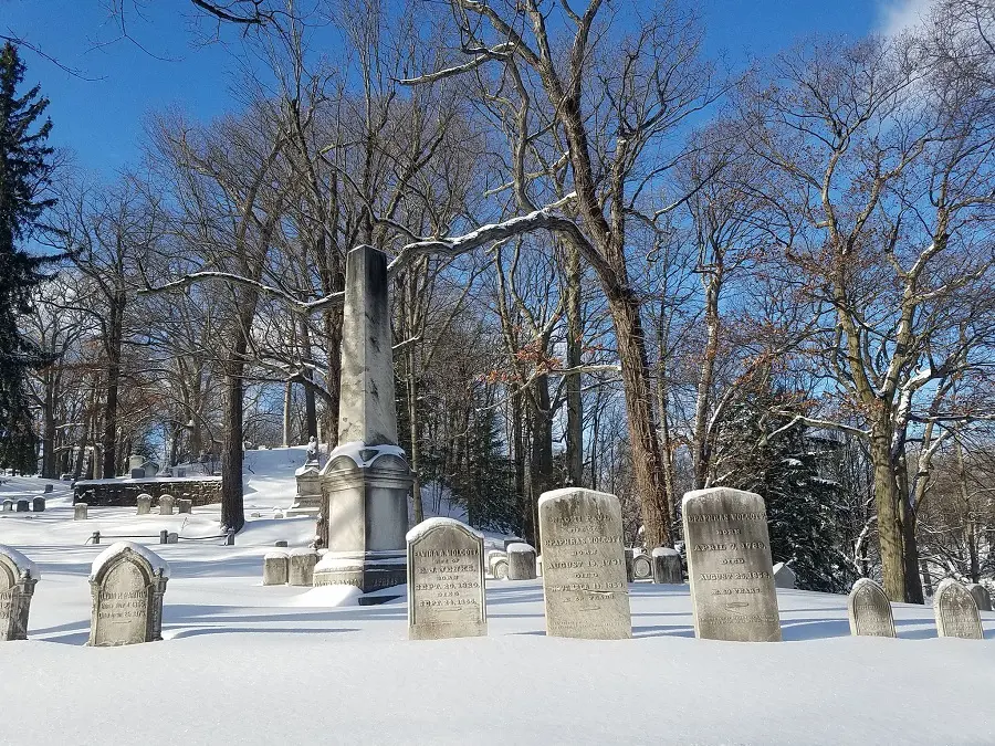 Take guided tours at Mount Hope Cemetery.