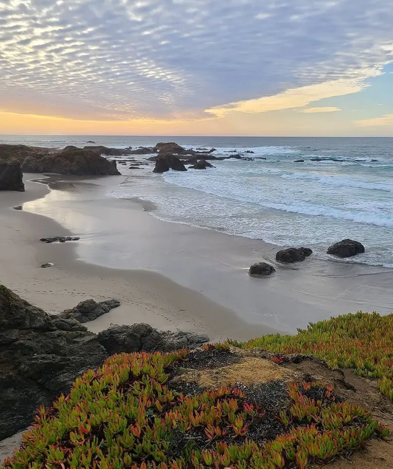 20 Serene Things To Do In Fort Bragg, California